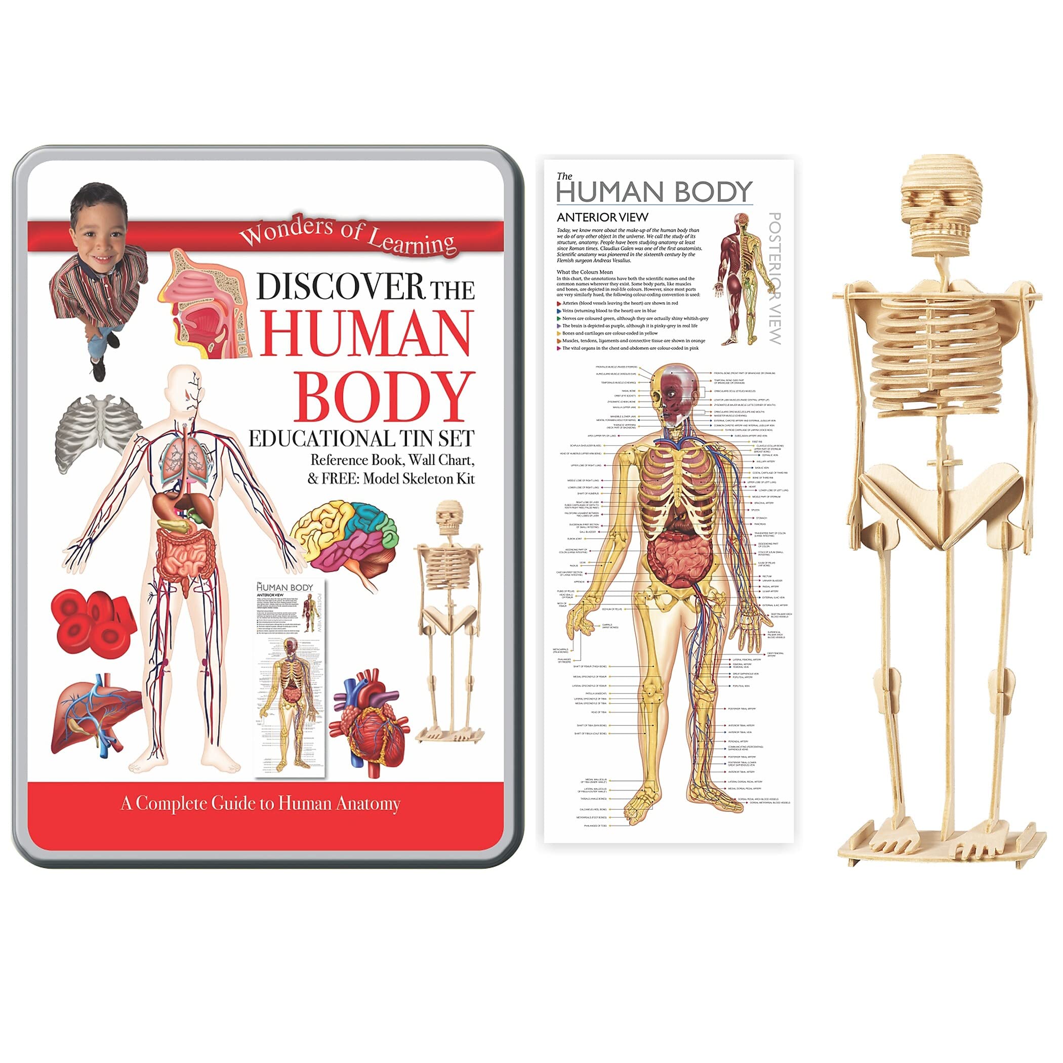Human Body キット　英語 Discover the Human Body – Wonders of Learning Tin Set: Reference